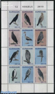 Suriname, Republic 2015 Birds 12v M/s, Mint NH, Nature - Birds - Birds Of Prey - Ducks - Surinam