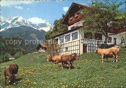 72235888 Garmisch-Partenkirchen Fruehling Auf Der Pfeiffer Alm Kuehe Garmisch-Pa - Garmisch-Partenkirchen