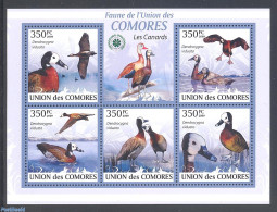 Comoros 2009 Ducks 5v M/s, Mint NH, Nature - Birds - Ducks - Isole Comore (1975-...)