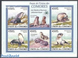 Comoros 2009 Seals 5v M/s, Mint NH, Nature - Sea Mammals - Comoros