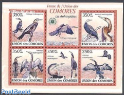 Comoros 2009 Albatross 5v M/s, Mint NH, Nature - Birds - Isole Comore (1975-...)