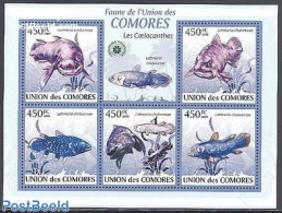 Comoros 2009 Coelacanth 5v M/s, Mint NH, Nature - Fish - Poissons
