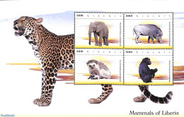 Liberia 2015 Mammals Of Liberia 4v M/s, Mint NH, Nature - Animals (others & Mixed) - Cat Family - Elephants - Hedgehog.. - Sonstige & Ohne Zuordnung