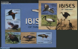 Tanzania 2015 Ibises Of Tanzania 2 S/s, Mint NH, Nature - Birds - Tanzania (1964-...)