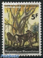 Rwanda 1965 5F, Stamp Out Of Set, Mint NH, Nature - Monkeys - Otros & Sin Clasificación