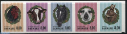 Denmark 2016 Farm Animals 5v S-a, Mint NH, Nature - Animals (others & Mixed) - Birds - Cattle - Horses - Poultry - Rab.. - Neufs