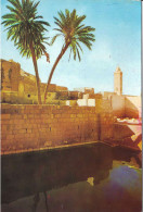 GAFSA - La Piscine Romaine - Tunisia