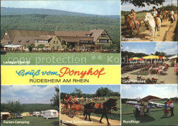 72235091 Ruedesheim Rhein Ponyhof Landgut Ebental  Ruedesheim  - Ruedesheim A. Rh.