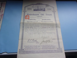 THE PETROLEUM OIL TRUST (1894) - Autres & Non Classés