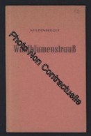 Waldblumenstrauss Von Anna Misselwitz-Mildenberger - Sonstige & Ohne Zuordnung