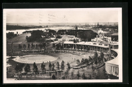 AK Köln, Blick Auf Die Ausstellung  - Exhibitions