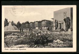 AK Essen, Ausstellung Gruga, Aquarium Im Gruga-Park  - Ausstellungen