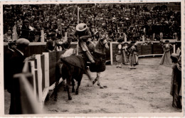 FR66 PERPIGNAN - Carte Photo CHAUVIN - CORRIDA - Le Picador - Très Animée - Belle - Perpignan