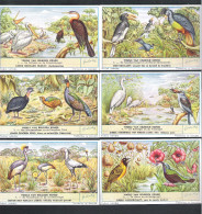 6  CHROMO'S  LIEBIG  -  VOGELS VAN BELGISCH KONGO   (C 1944) - Liebig