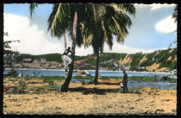 Diego Suarez La Baie Et La Montagne Des Français La Carte Africaine - Madagaskar