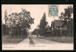 CPA Le Vesinet, Route De Croissy  - Otros & Sin Clasificación