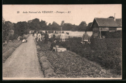 CPA Vésinet, Asile National, Potager  - Le Vésinet