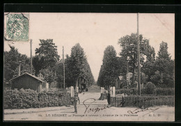 CPA Le Vésinet, Passage à Niveau, Avenue De La Princesse  - Le Vésinet