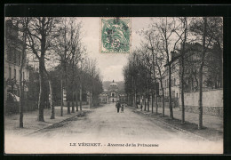 CPA Le Vesinet, Avenue De La Princesse  - Other & Unclassified