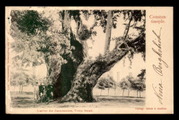 TURQUIE - CONSTANTINOPLE - L'ARBRE DES JANNISSAIRES - Turquie