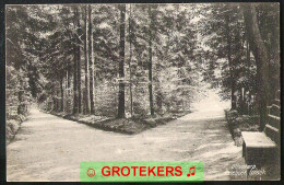 OLTERTERP Driehoek Bosch 1917 Verzonden 1920 Met Kortebalkstempel DRAGTEN 3 - Andere & Zonder Classificatie