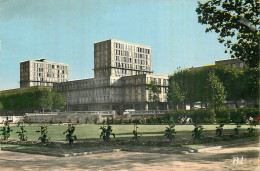 LE HAVRE . Le Jardin De L'Hôtel De Ville - Ohne Zuordnung