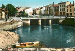 SAUJON . Les Bords De La Seudre Et Le Ort - Saujon