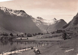 NORDFJORD . - Noruega