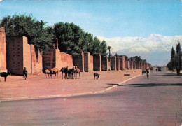 MARRAKECH . Le Long Des Remparts - Autres & Non Classés