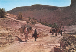 TUNISIE . Piste Dans Le Sud . - Tunesien