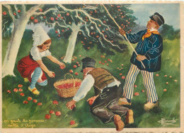 On Gaule Les Pommes Vallée D'Auge . Illustration HOMUALK .  NORMANDIE - Roumanie