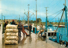 GRANCAMP MAISY . Retour De Pêche à La Coquille St-Jacques - Autres & Non Classés