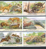 6  CHROMO'S  LIEBIG  -   ZOOGDIEREN VAN AUSTRALIE   (C 1959) - Liebig