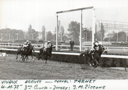 PHOTO DE PRESSE - COURSES  HIPPIQUES - MARSEILLE VIVAUX - 04.11.78 - 3EME COURSE - GAGNANT PARNET - JOCKEY J.M. PICCONE - Deportes