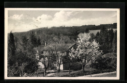 AK Buchenbach / Breisgau, Sanatorium Wiesneck  - Buchen