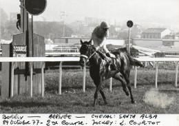 PHOTO DE PRESSE - COURSES  HIPPIQUES - MARSEILLE BORELY - 29.10.77 - 2EME COURSE - GAGNANT SANTA ALBA - JOCKEY L.COURTOT - Sport