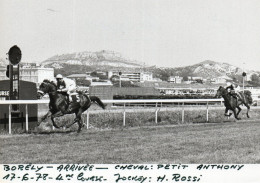 PHOTO DE PRESSE - COURSES  HIPPIQUES - MARSEILLE BORELY - 17.6.78 - 4EME COURSE - GAGNANT PETIT ANTHONY - JOCKEY H.ROSSI - Deportes