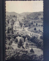 65497 . LOURDES . LA BASILIQUE ET LE GAVE - Lourdes