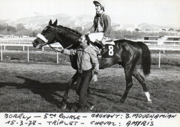 PHOTO DE PRESSE - COURSES  HIPPIQUES - MARSEILLE BORELY -15.3.78 - 5EME COURSE - GAGNANT AMYRIS - JOCKEY B. MOUGHAMIAN - Sports