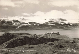 NORVEGE - Fineshytta Og Hardangerjokelen - Carte Postale Ancienne - Noruega