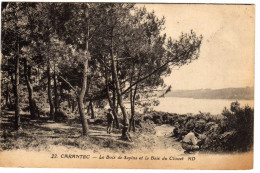 Carantec Le Bois De Sapins Baie Du Clouet - Carantec