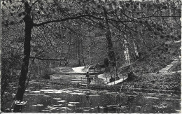 1M1-- 72 Forêt De BERCE Fontaine De La Coudre - Cachet Postal Jupilles - Other & Unclassified