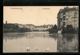 AK Berlin-Charlottenburg, Höckerschwäne Am Lietzensee  - Charlottenburg