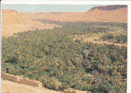 CPSM 10.5 X 15 Maroc   Vallée ZIZ  Région Errachidia Erfoud - Autres & Non Classés