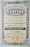 S.A. Gestion Financière  Mobilière Et Immobilière GESFINA  - Action De Capital De 500fr (1923) - Autres & Non Classés