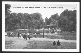 1013 - BELGIQUE - BRUXELLES - Bois De La Cambre - Le Lac Et L'Ile Robinson - Autres & Non Classés