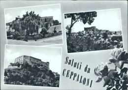 Cr581 Cartolina Saluti Da Ceppaloni Provincia Di  Benevento Campania - Benevento