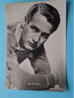 PAUL NEWMAN ( Edit.: B.F.F. / MGM ) Anno 19?? ( Zie / Voir / See SCANS ) Cinéma / Film ! - Entertainers