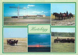 Hongrie - Hortobagy - Nemzeti Park - National Park - Multivues - Taureaux - Chevaux - CPM - Voir Timbre - Voir Scans Rec - Hungary