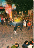 Folklore - Pays Basque - Cote Basque - Toro De Fuego - Réjouissance Populaire - Feu D'artifices - CPM - Voir Scans Recto - Vestuarios